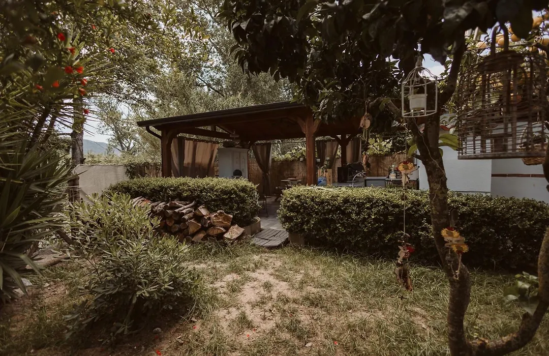 Casa Vacanze Rosy Nel Verde-1