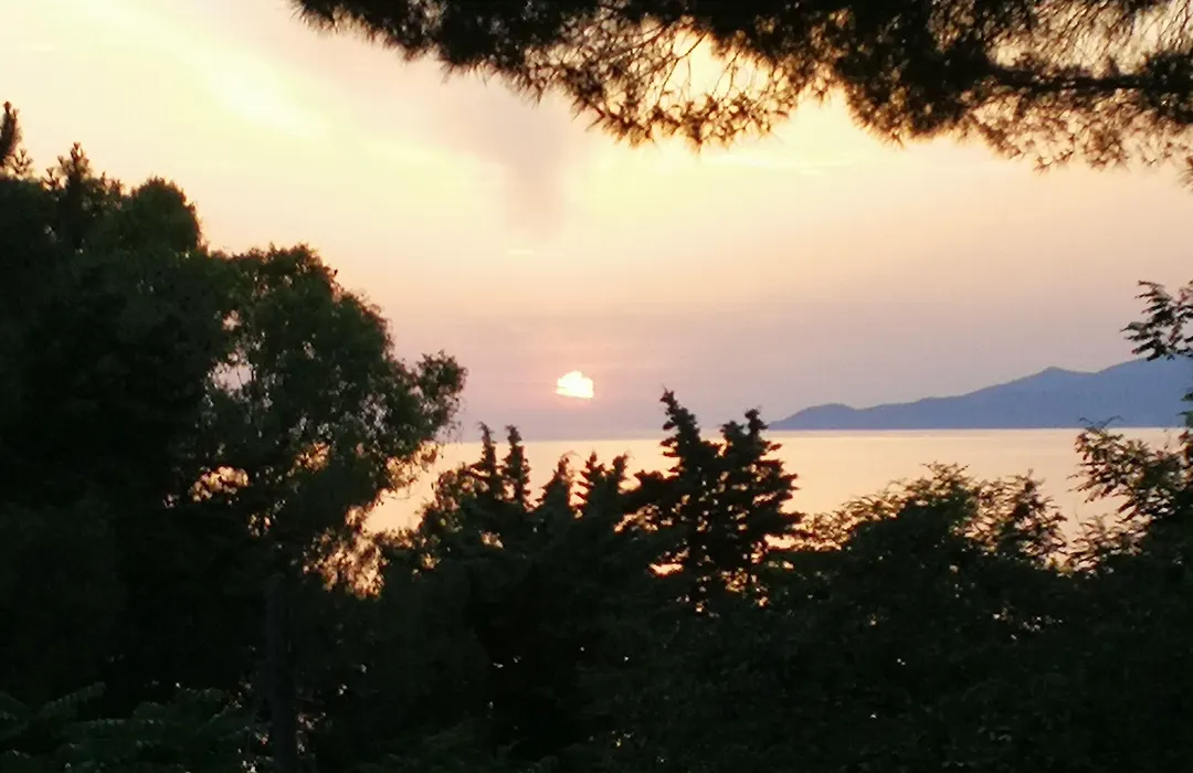 Il Sogno di Vincenzo e Maria-1