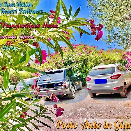 Villa Ines Relais - Holiday Homes - Seaside Resort Palinuro-2