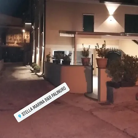 Stella marina-2